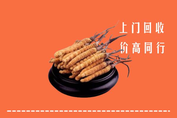 高价求购：大理州云龙回收散虫草