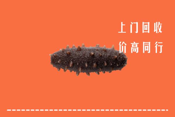 高价求购：大理州云龙回收海参